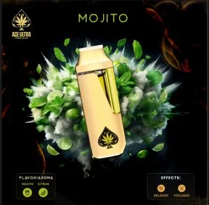 Mojito Ace Ultra Premium 2G Gen 4 hybrid disposable vape flavor review