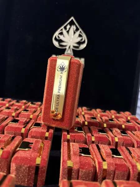 Black Badge Collection Review